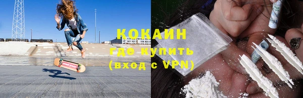 гидра Горняк