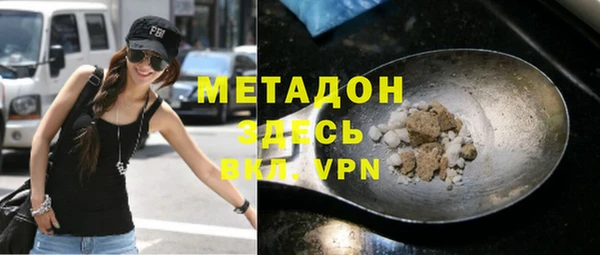 гидра Горняк