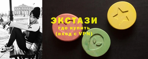 гидра Горняк