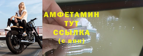 apvp Вяземский