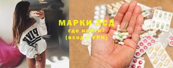 гидра Горняк