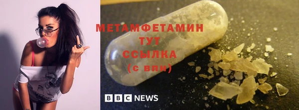 прущие грибы Вязники