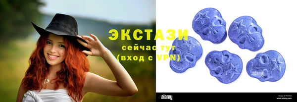 гидра Горняк