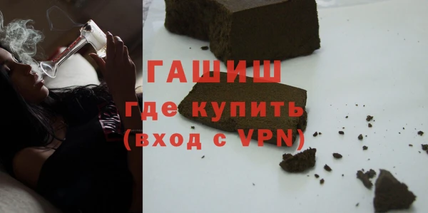 гидра Горняк