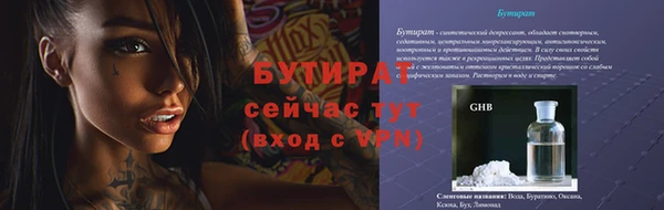гидра Горняк