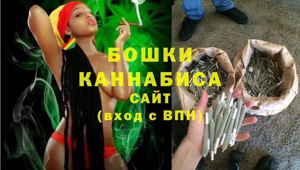 прущие грибы Вязники
