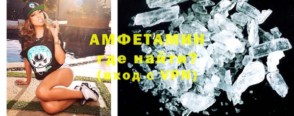 гидра Горняк