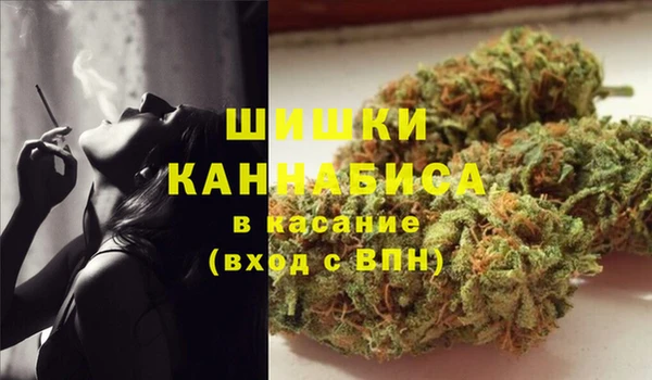 apvp Вяземский