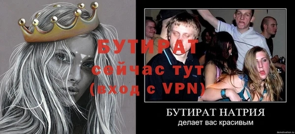 прущие грибы Вязники
