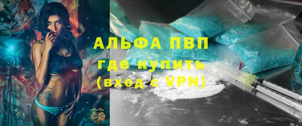 apvp Вяземский