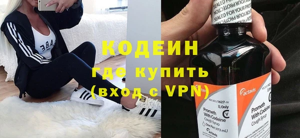 прущие грибы Вязники