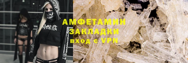 прущие грибы Вязники